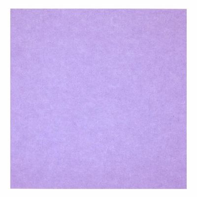 Pannello acustico ignifugo Isolamento acustico PET Feltre pannello acustico per dimensioni personalizzate